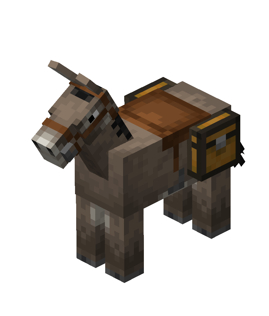 Donkey Dupe now enabled on 8b8t.me!
