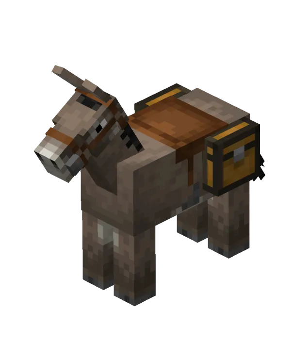 Donkey Dupe now enabled on 8b8t.me!